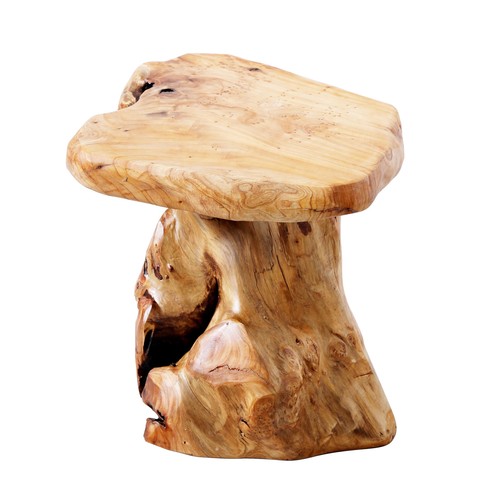 Cedar stump side - 14",